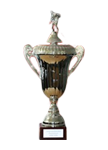 nfv-pokal